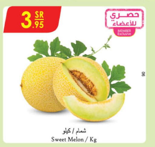  Sweet melon  in Danube in KSA, Saudi Arabia, Saudi - Al Hasa