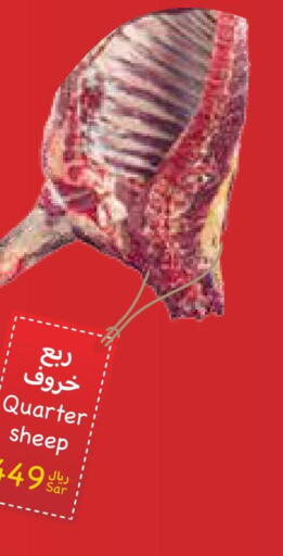  Mutton / Lamb  in Consumer Oasis in KSA, Saudi Arabia, Saudi - Dammam