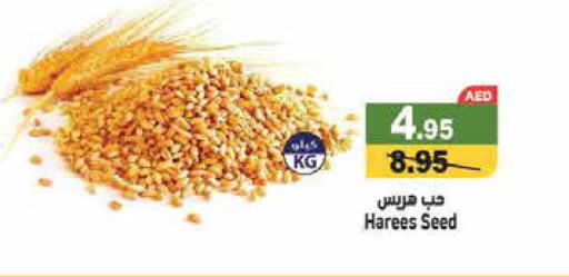  Cereals  in أسواق رامز in الإمارات العربية المتحدة , الامارات - دبي