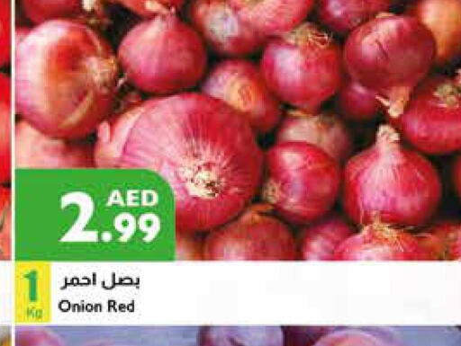  Onion  in إسطنبول سوبرماركت in الإمارات العربية المتحدة , الامارات - رَأْس ٱلْخَيْمَة