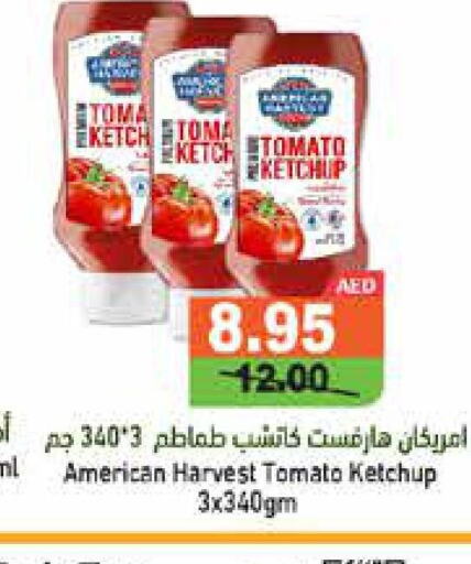 AMERICAN HARVEST Tomato Ketchup  in أسواق رامز in الإمارات العربية المتحدة , الامارات - رَأْس ٱلْخَيْمَة