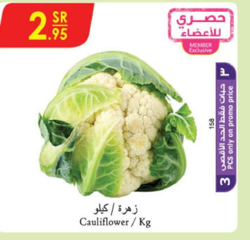  Cauliflower  in Danube in KSA, Saudi Arabia, Saudi - Jazan