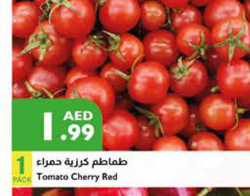  Tomato  in Istanbul Supermarket in UAE - Abu Dhabi