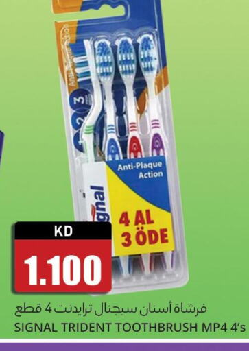 SIGNAL Toothbrush  in 4 سيفمارت in الكويت - مدينة الكويت