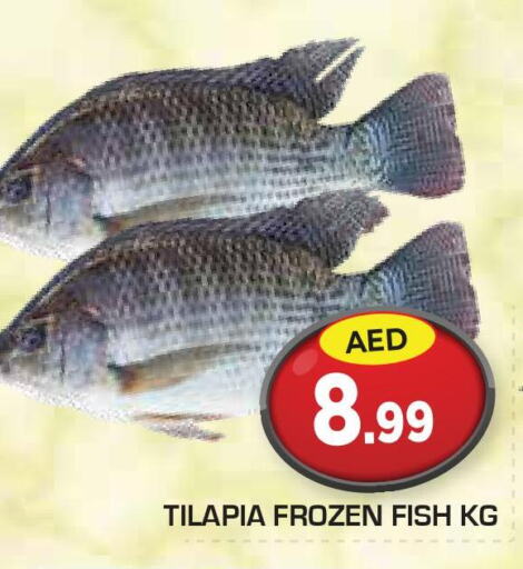  King Fish  in سنابل بني ياس in الإمارات العربية المتحدة , الامارات - رَأْس ٱلْخَيْمَة