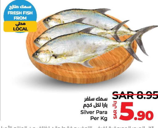  King Fish  in لولو هايبرماركت in مملكة العربية السعودية, السعودية, سعودية - الخبر‎