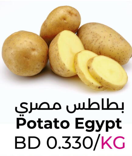  Potato  in رويان ماركت in البحرين
