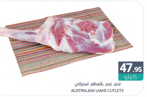 Mutton / Lamb  in Muntazah Markets in KSA, Saudi Arabia, Saudi - Dammam