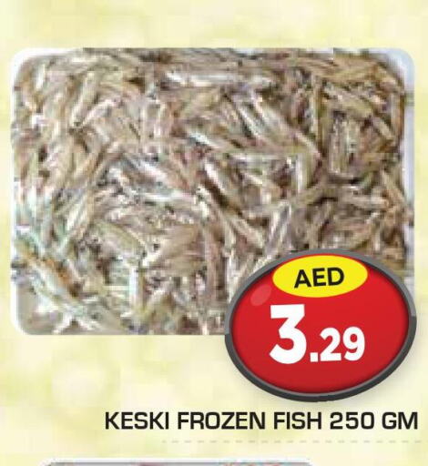  King Fish  in Baniyas Spike  in UAE - Ras al Khaimah