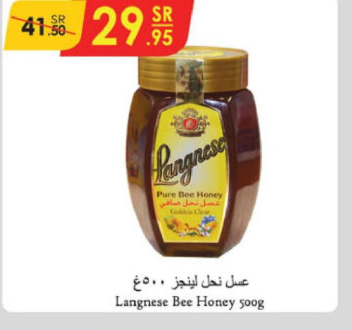  Honey  in Danube in KSA, Saudi Arabia, Saudi - Tabuk