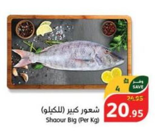  King Fish  in هايبر بنده in مملكة العربية السعودية, السعودية, سعودية - المجمعة