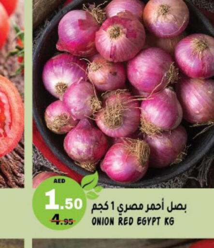  Onion  in هاشم هايبرماركت in الإمارات العربية المتحدة , الامارات - الشارقة / عجمان