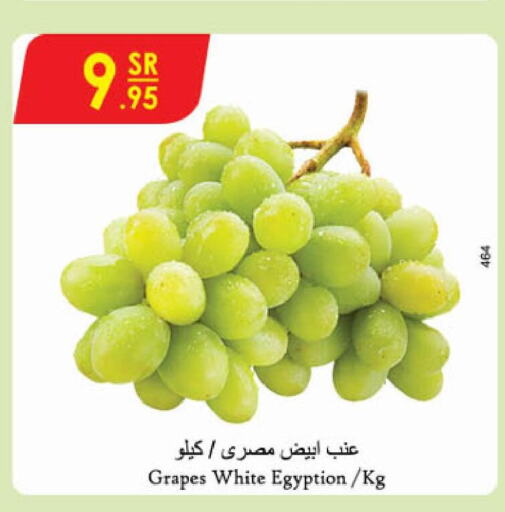  Grapes  in Danube in KSA, Saudi Arabia, Saudi - Unayzah