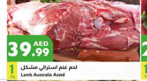  Mutton / Lamb  in Istanbul Supermarket in UAE - Abu Dhabi