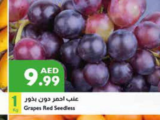  Grapes  in Istanbul Supermarket in UAE - Al Ain