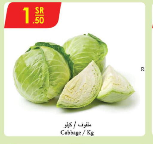  Cabbage  in Danube in KSA, Saudi Arabia, Saudi - Al Hasa