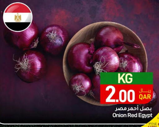  Onion  in ســبــار in قطر - الخور