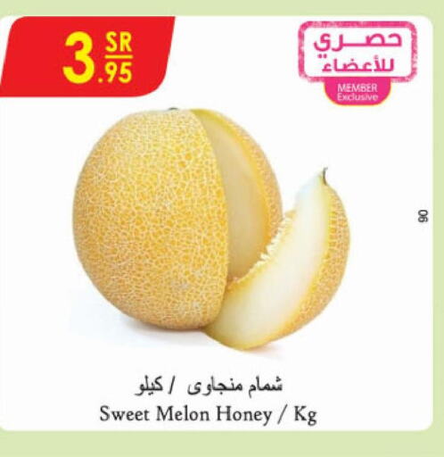  Sweet melon  in الدانوب in مملكة العربية السعودية, السعودية, سعودية - الخرج