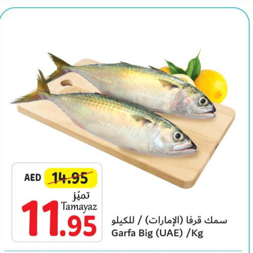  King Fish  in Union Coop in UAE - Abu Dhabi