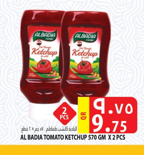  Tomato Ketchup  in مرزا هايبرماركت in قطر - الريان
