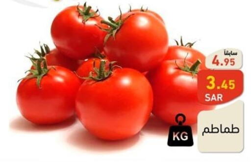  Tomato  in أسواق رامز in مملكة العربية السعودية, السعودية, سعودية - تبوك