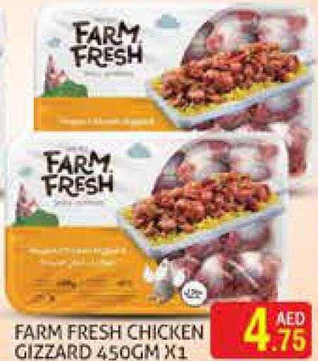 FARM FRESH Chicken Gizzard  in Palm Centre LLC in UAE - Sharjah / Ajman