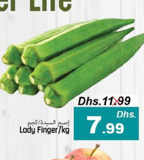  Lady's finger  in PASONS GROUP in UAE - Fujairah