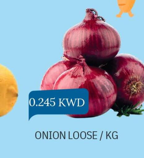  Onion  in أوليف هايبر ماركت in الكويت - مدينة الكويت