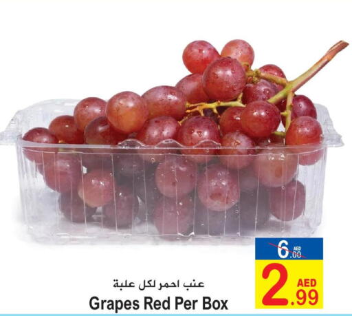  Grapes  in Sun and Sand Hypermarket in UAE - Ras al Khaimah