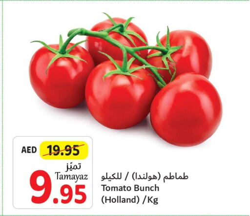  Tomato  in Union Coop in UAE - Abu Dhabi