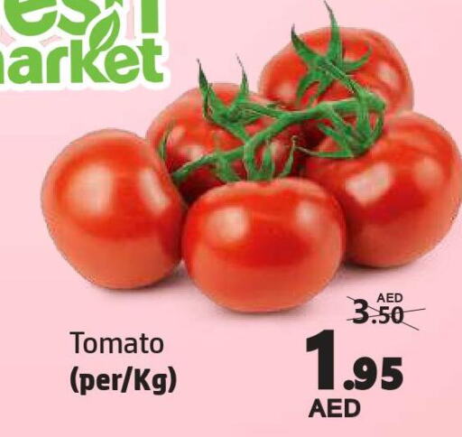  Tomato  in الحوت  in الإمارات العربية المتحدة , الامارات - الشارقة / عجمان