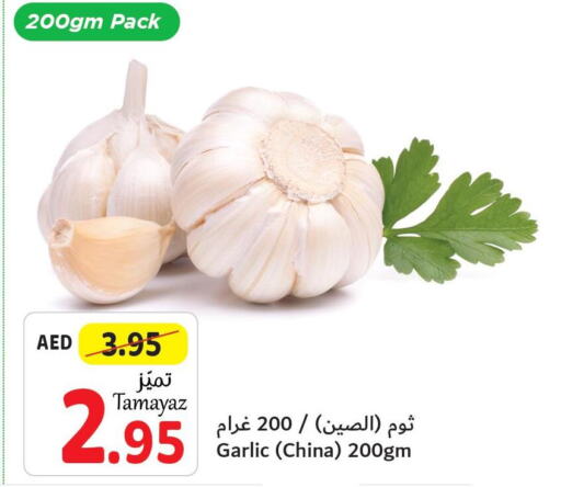  Garlic  in Union Coop in UAE - Abu Dhabi