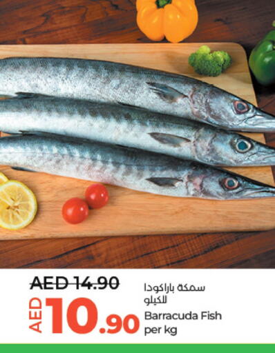  King Fish  in Lulu Hypermarket in UAE - Abu Dhabi
