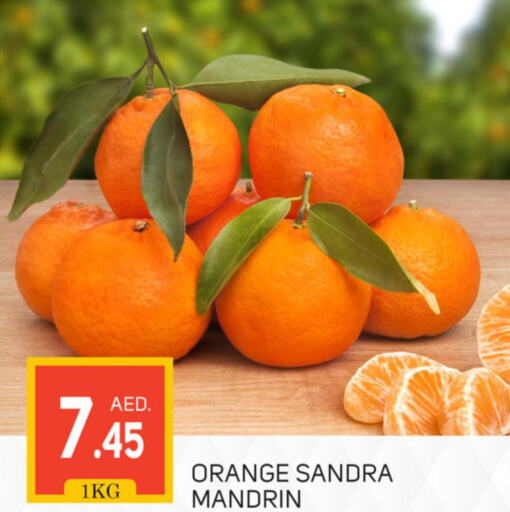  Orange  in TALAL MARKET in UAE - Dubai
