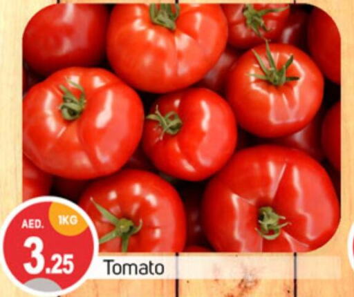  Tomato  in سوق طلال in الإمارات العربية المتحدة , الامارات - الشارقة / عجمان