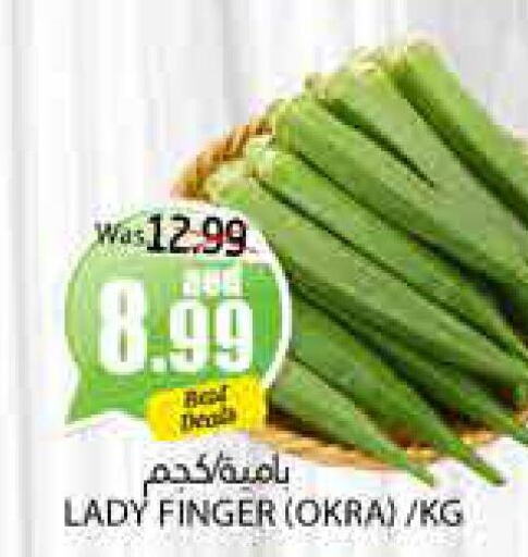  Lady's finger  in PASONS GROUP in UAE - Al Ain