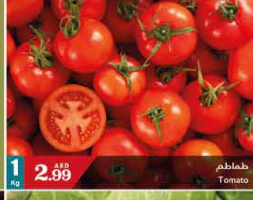  Tomato  in تروليز سوبرماركت in الإمارات العربية المتحدة , الامارات - الشارقة / عجمان