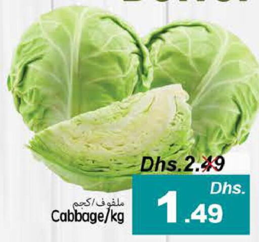  Cabbage  in PASONS GROUP in UAE - Fujairah
