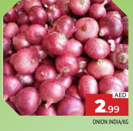  Onion  in المدينة in الإمارات العربية المتحدة , الامارات - الشارقة / عجمان