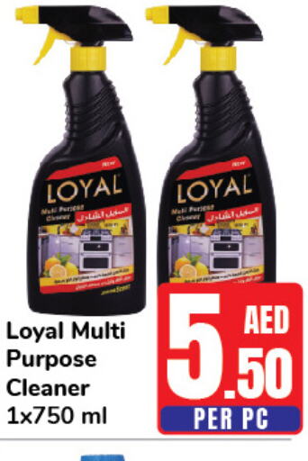  General Cleaner  in Day to Day Department Store in UAE - Sharjah / Ajman
