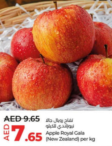  Apples  in لولو هايبرماركت in الإمارات العربية المتحدة , الامارات - ٱلْفُجَيْرَة‎