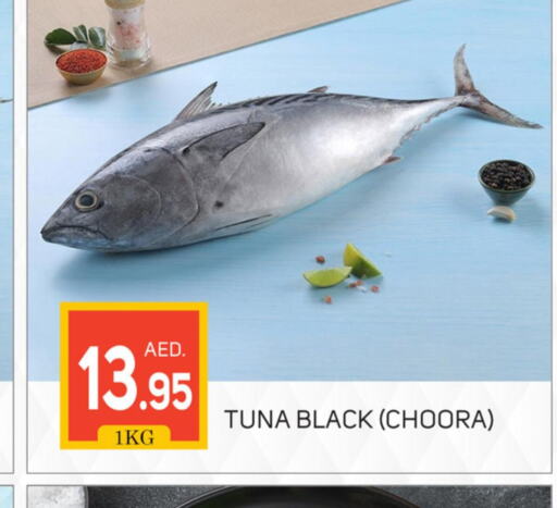  Tuna  in TALAL MARKET in UAE - Dubai