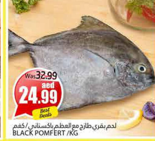  King Fish  in مجموعة باسونس in الإمارات العربية المتحدة , الامارات - ٱلْعَيْن‎