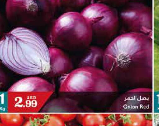  Onion  in Trolleys Supermarket in UAE - Sharjah / Ajman