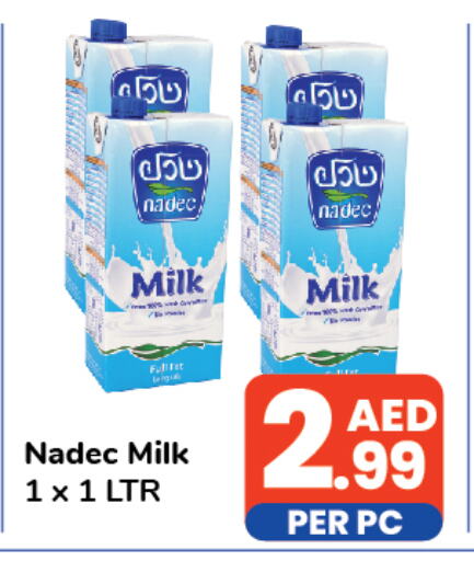 NADEC   in Day to Day Department Store in UAE - Dubai