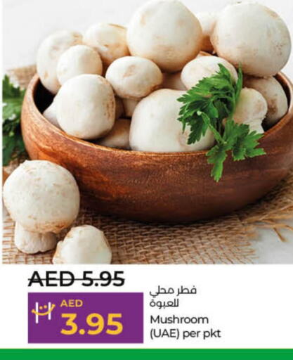  Mushroom  in لولو هايبرماركت in الإمارات العربية المتحدة , الامارات - أم القيوين‎