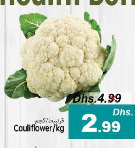  Cauliflower  in PASONS GROUP in UAE - Fujairah