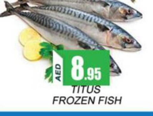  King Fish  in Zain Mart Supermarket in UAE - Ras al Khaimah