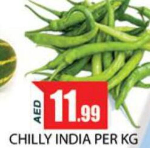  Chilli / Capsicum  in زين مارت سوبرماركت in الإمارات العربية المتحدة , الامارات - رَأْس ٱلْخَيْمَة
