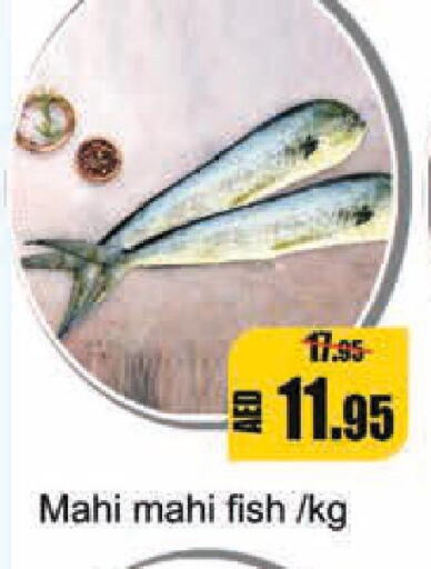  King Fish  in Leptis Hypermarket  in UAE - Ras al Khaimah